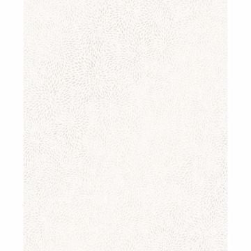 Chrysanth Flower Pattern