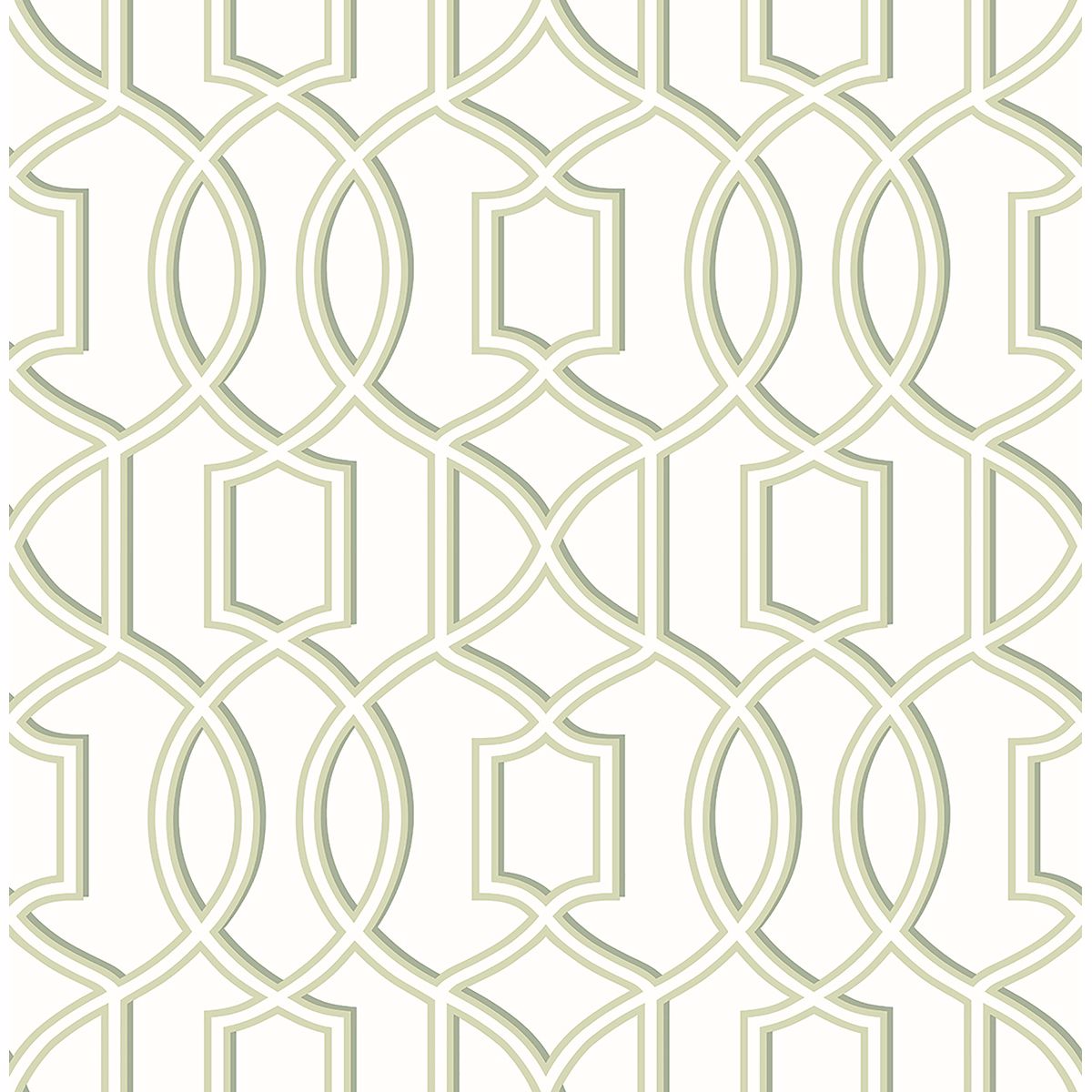Quantum Trellis