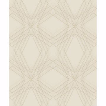 Relativity Geometric