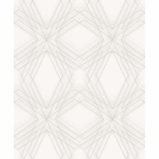 Relativity Geometric