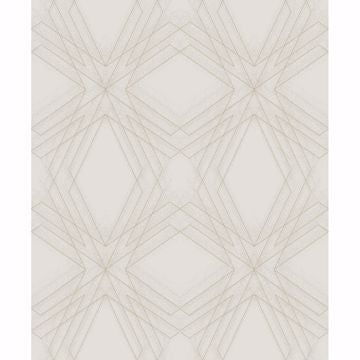 Relativity Geometric