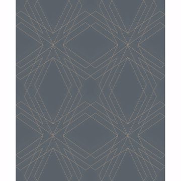 Relativity Geometric