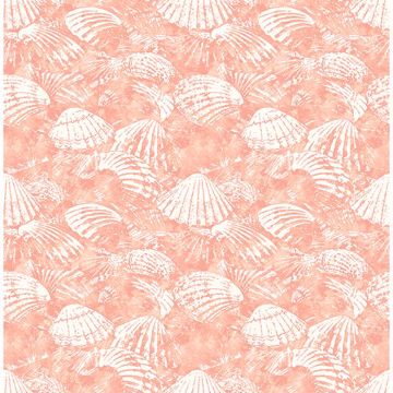 Surfside Shells
