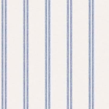 Johnny Stripes