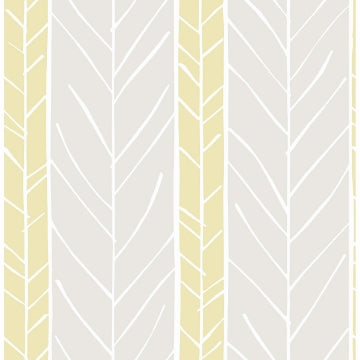 Lottie Stripe