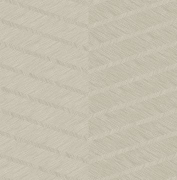 Aspen Chevron