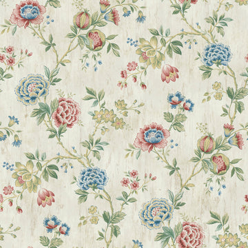 Chrysanthemum Jacobean