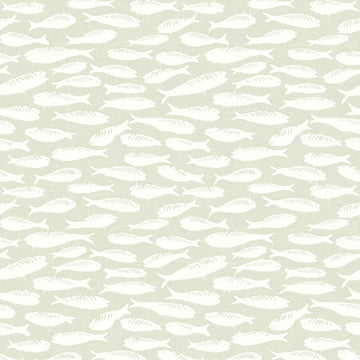Nunkie Sardine