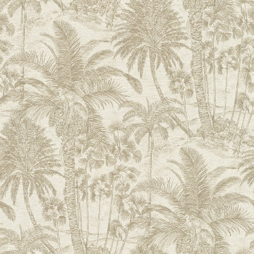 Yubi Palm Trees Wallpaper