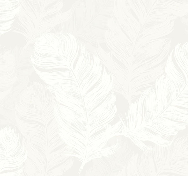 Feathers Screen Print