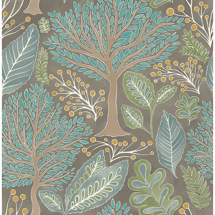 Kiah Forest