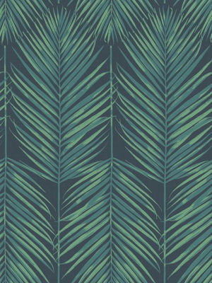 Paradise Palm