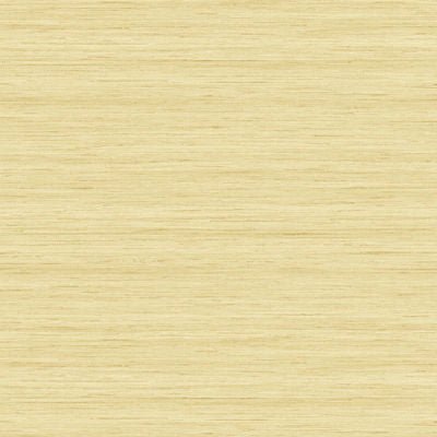 Shantung Silk