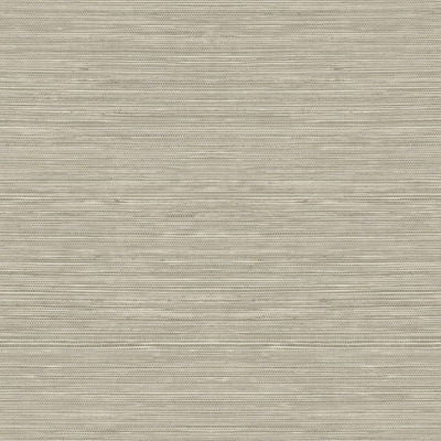 Sisal Hemp