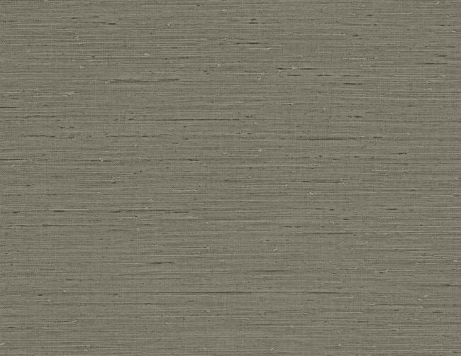 Horizon Plain