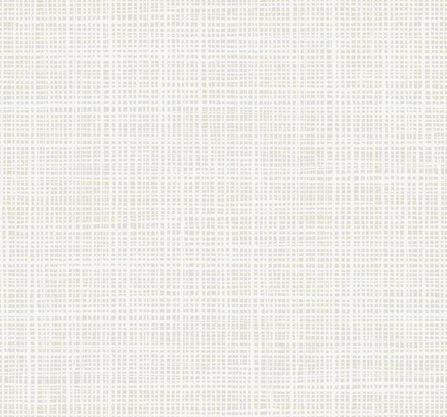 Abstract Weave Texture