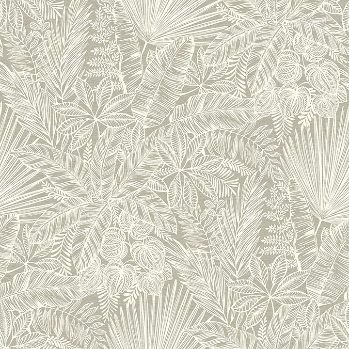 Vita Botanical