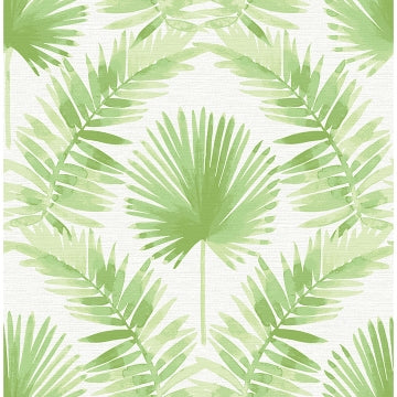 Calla Painted Palm