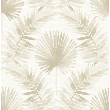 Calla Painted Palm