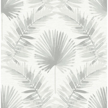 Calla Painted Palm