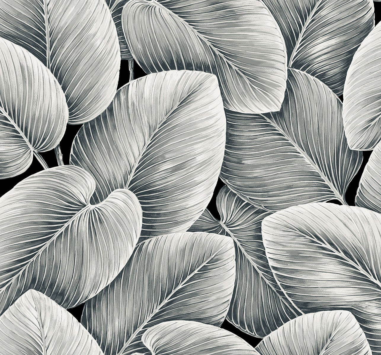Lush Leaf - Jet