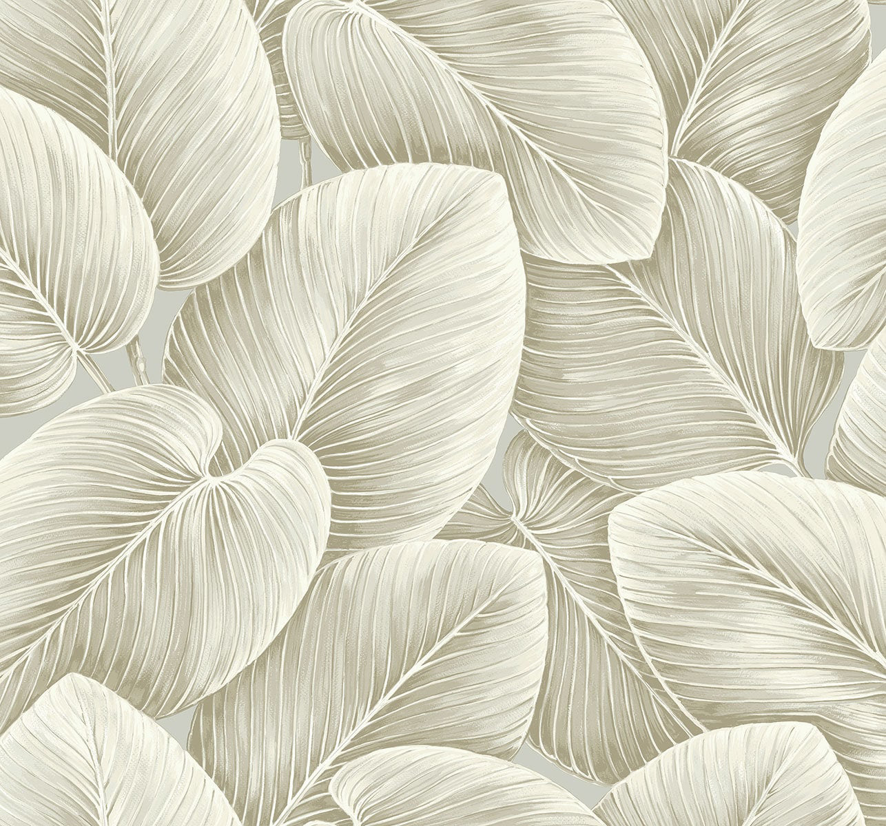 Lush Leaf - Jet