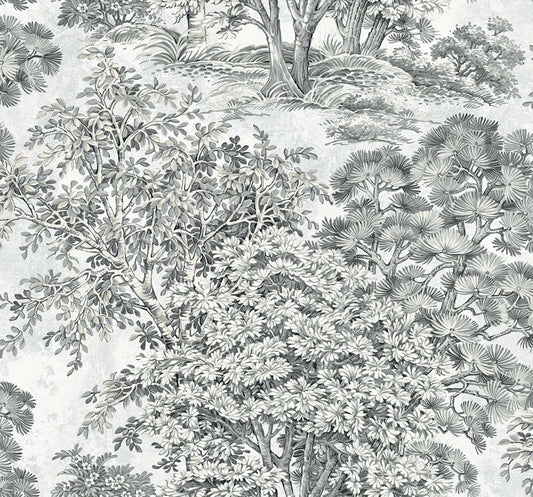 Majestic Trees - Pencil