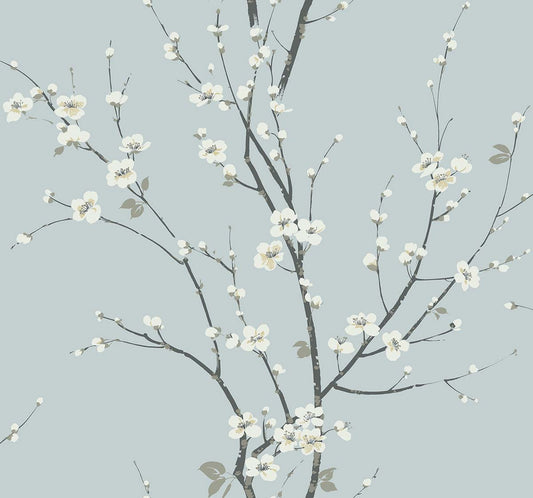 Cherry Branches - Ash
