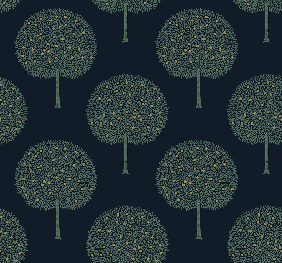 Fruit Trees - Contrasto