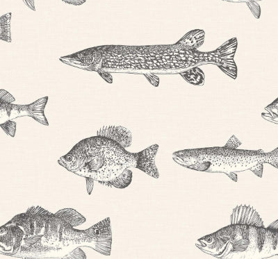 Trout - Icy tops