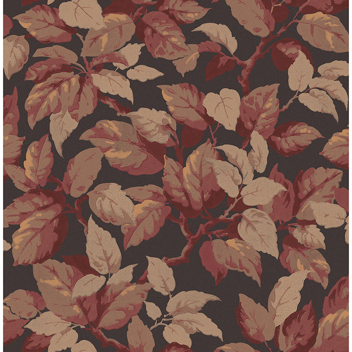Canopy Leaf