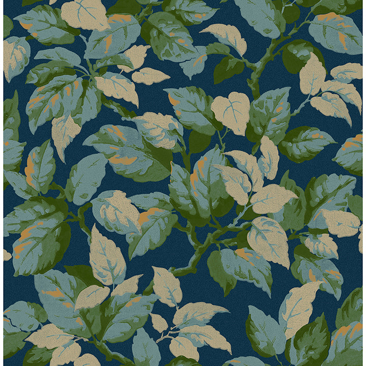 Canopy Leaf