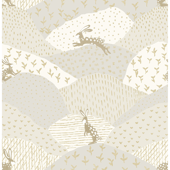 Peter Rabbit Fields