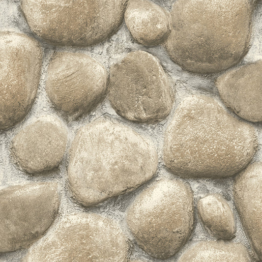 Root Rock