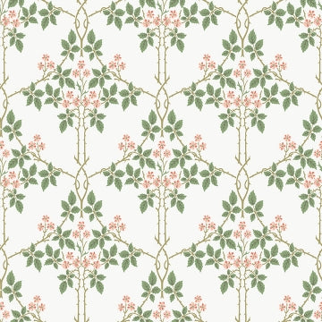 Blackberry Chartreuse Vine