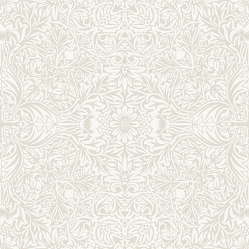 Ceiling Brown Intricate