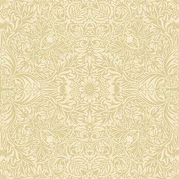 Ceiling Brown Intricate