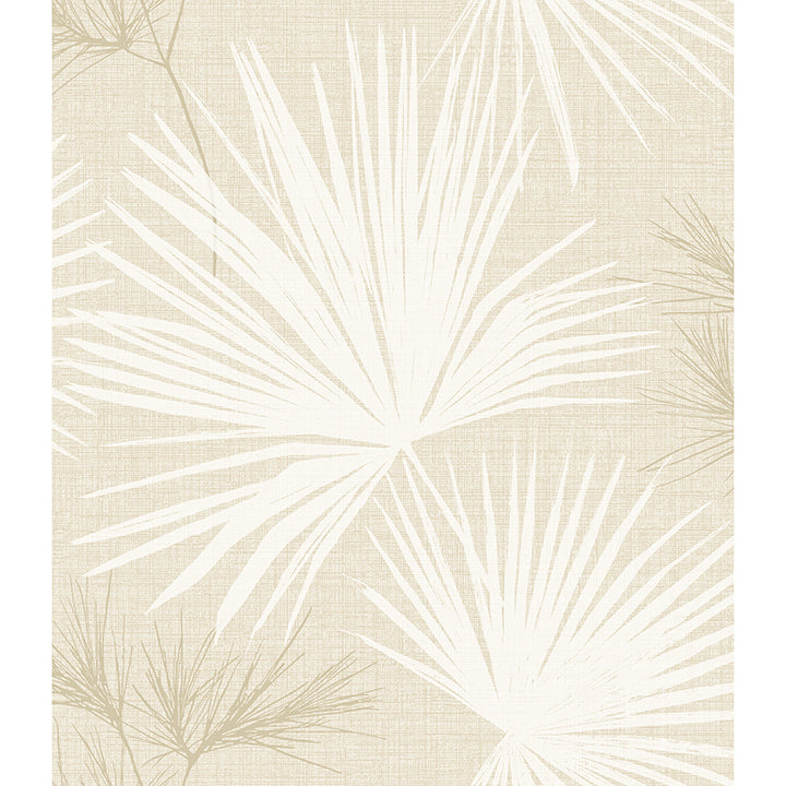 Hatteras Champagne Palms