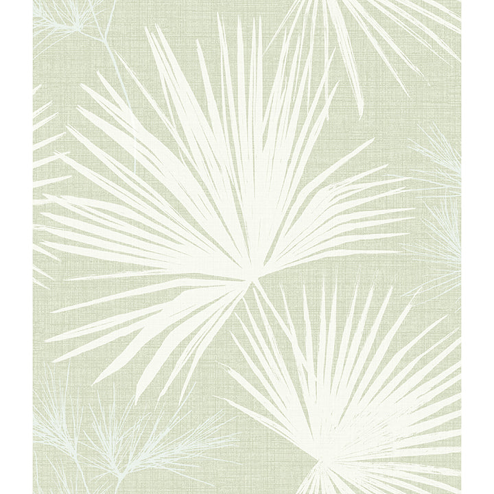 Hatteras Champagne Palms
