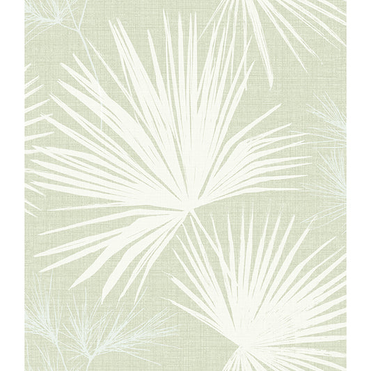 Hatteras Champagne Palms