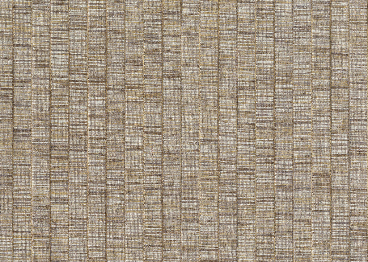 RIBBON GRASS