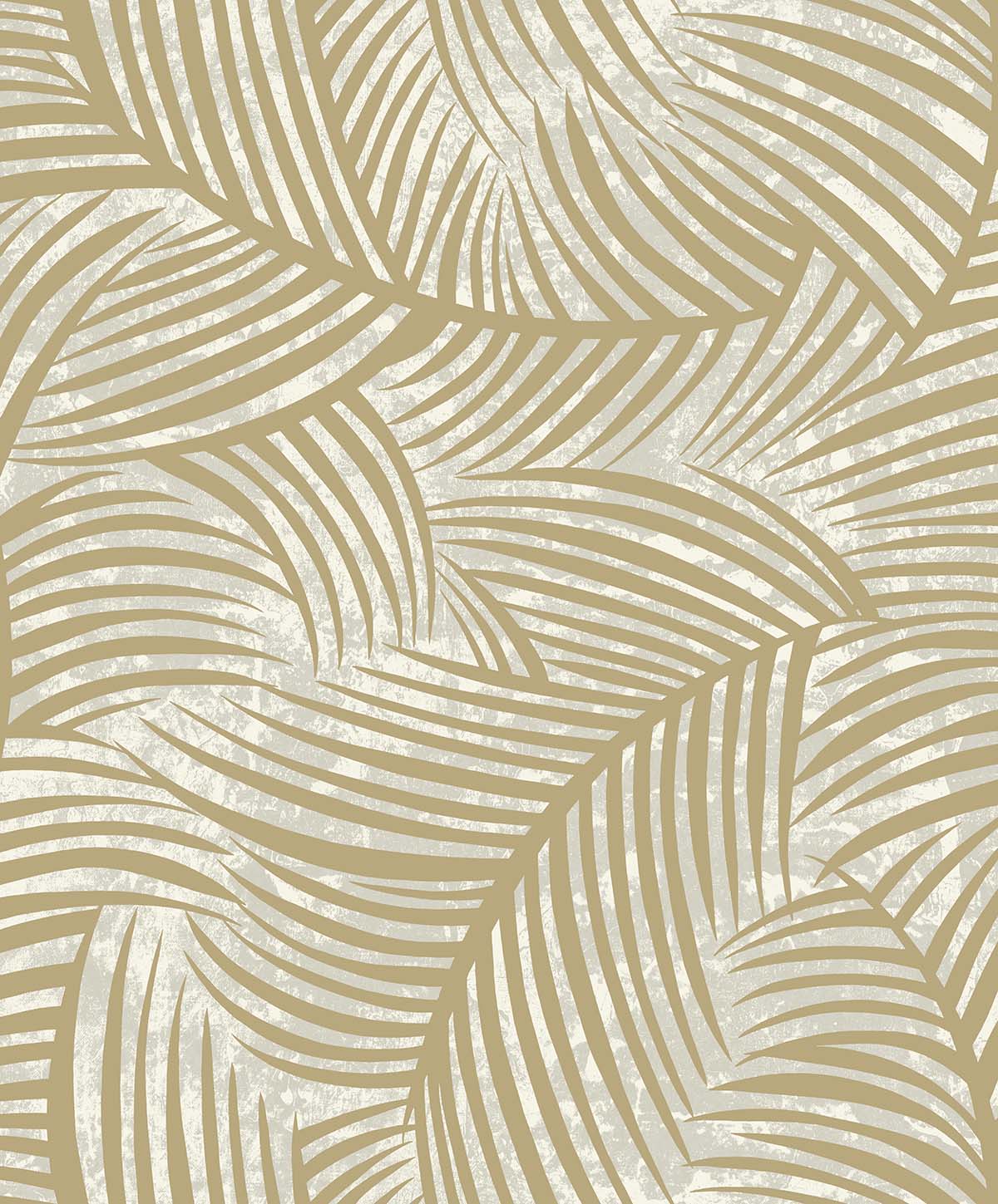 Zephyra