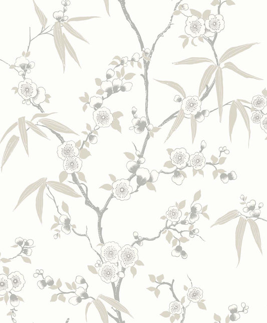 Asian Blossom