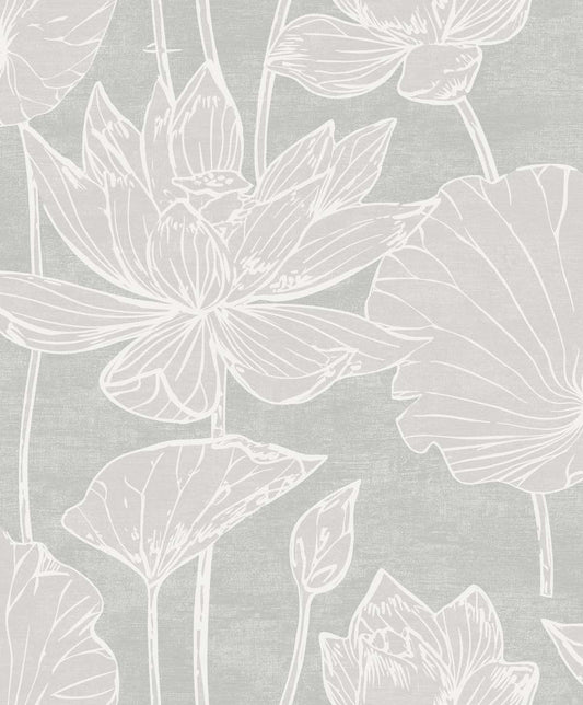Kyoto Lily