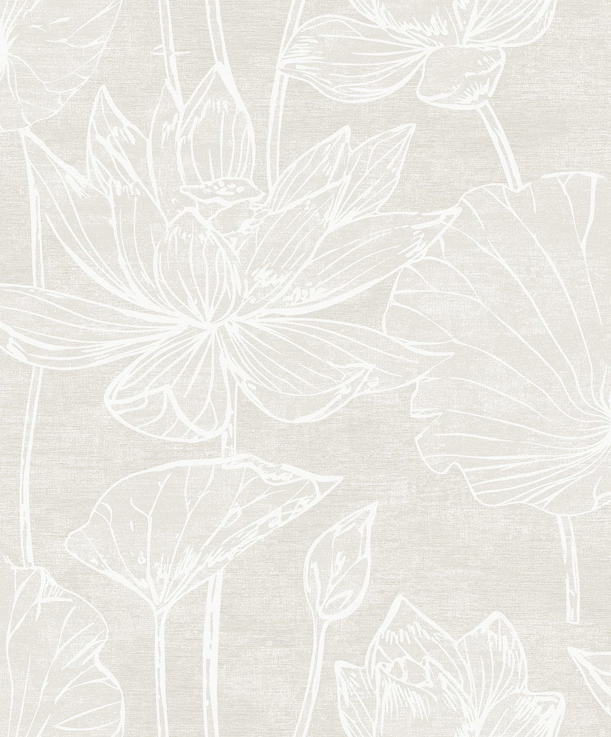 Kyoto Lily