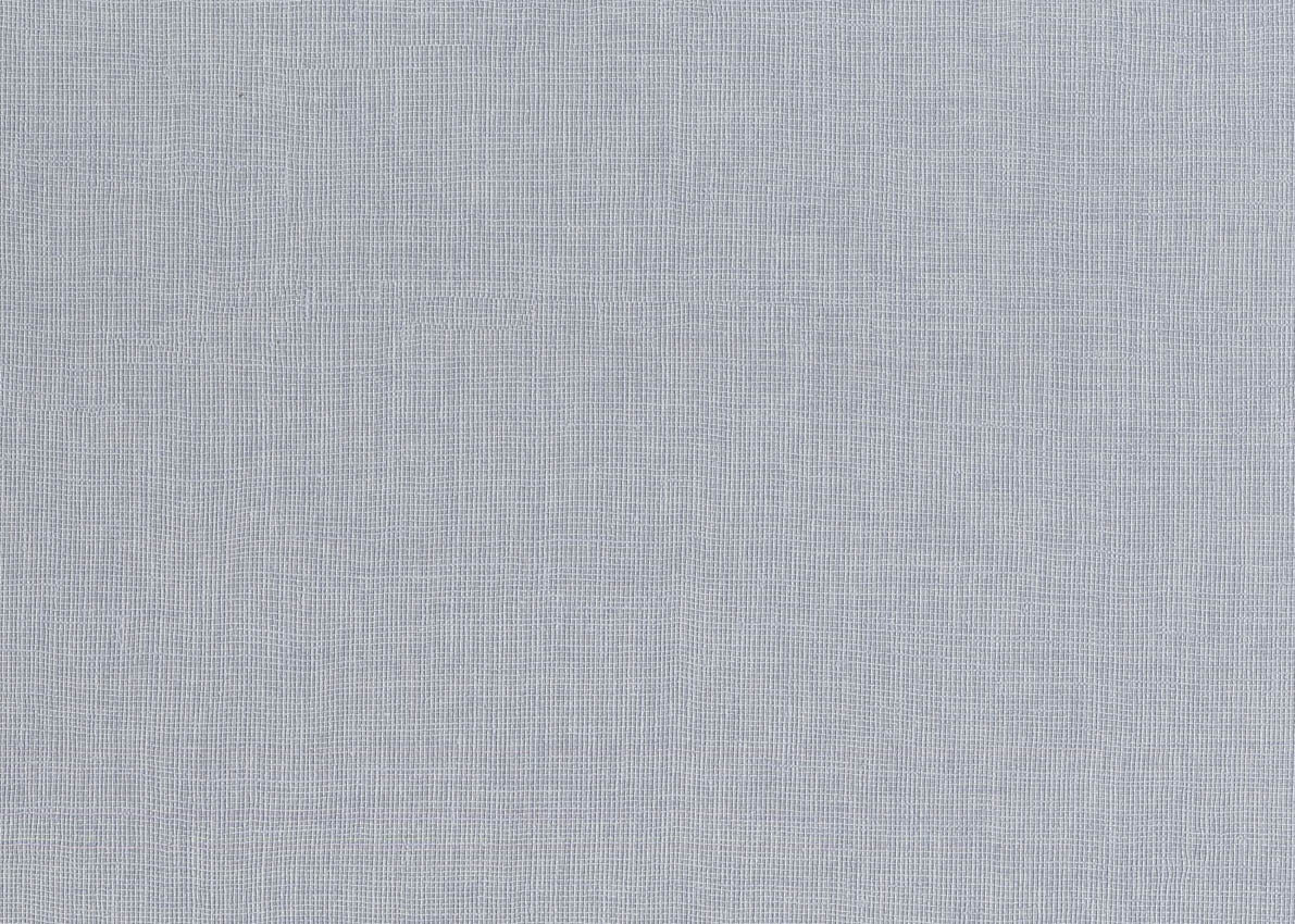 TELA