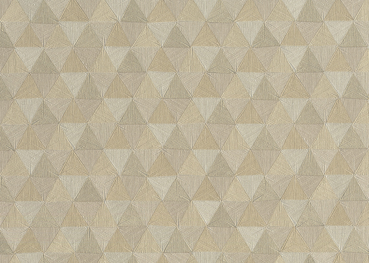 TRIANGLES TROPICALES