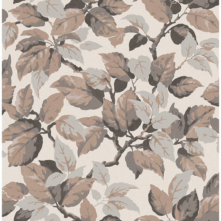 Canopy Leaf