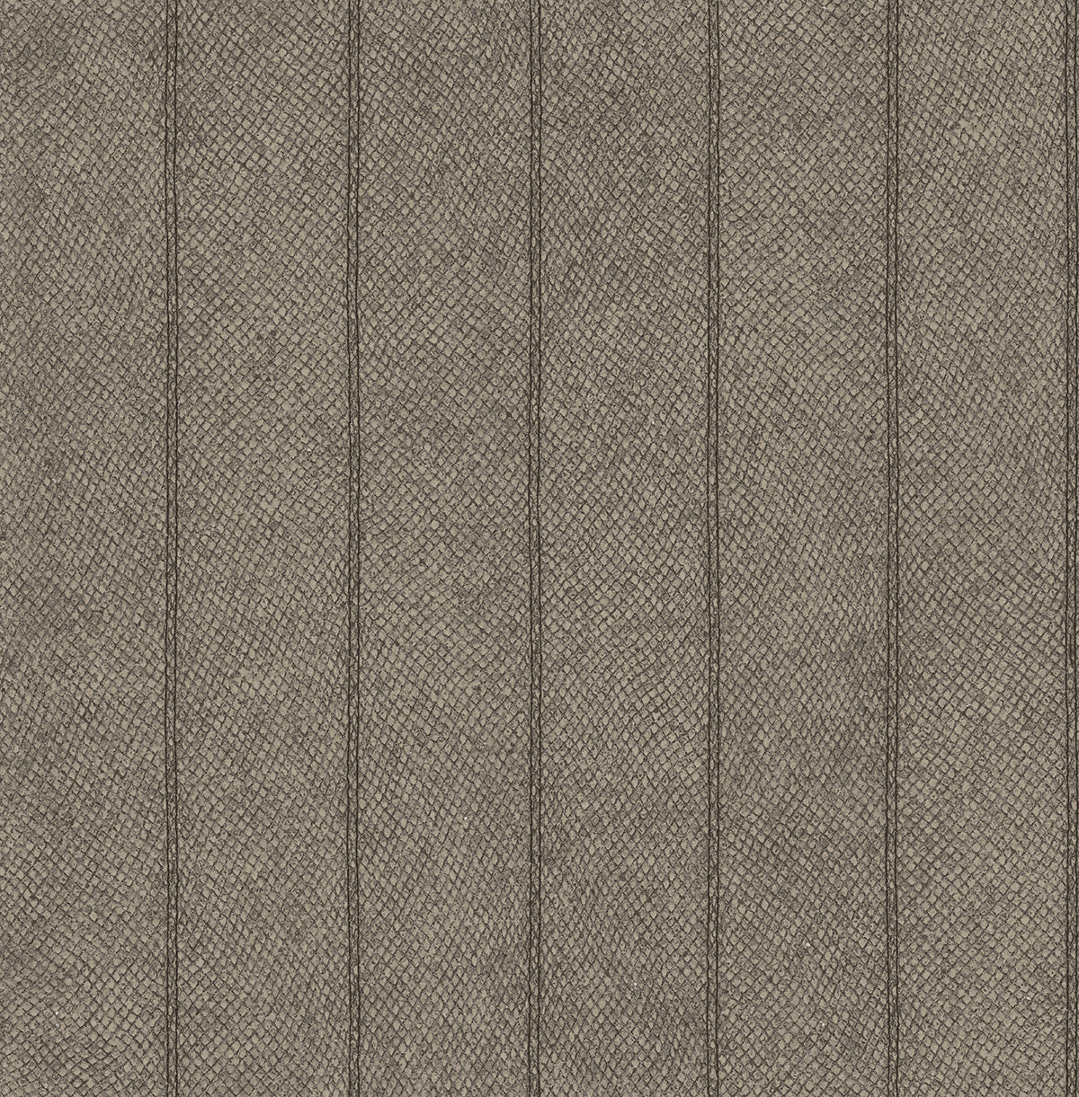 Snake Skin Stripes