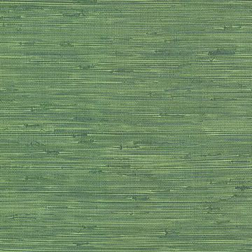 Lycaste Weave Texture